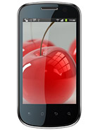 Best available price of Celkon A19 in Palestine