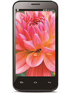 Best available price of Lava Iris 505 in Palestine