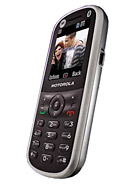 Best available price of Motorola WX288 in Palestine