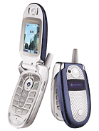 Best available price of Motorola V560 in Palestine