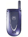 Best available price of Motorola V66i in Palestine