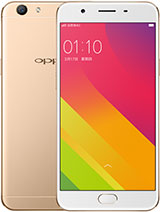 Best available price of Oppo A59 in Palestine